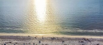 Beautiful Indian Shores condo with private beach access