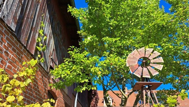 A windmill with a metal structure, a brick building, and a tree with green leaves. - Apartment "Boskoop" with terrace - Apartments Liebisch (Flieth-Stegelitz)