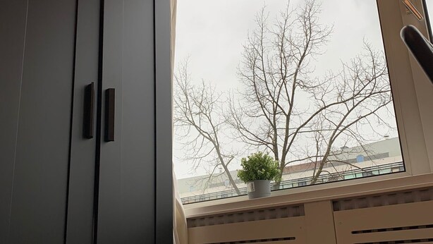 A room with a large wardrobe, a window with a view of leafless trees, and a potted plant on the windowsill. - TU Delft Daisy room 4 (Delft)