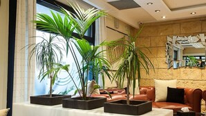 Una sala de estar moderna con sofás de cuero, una mesa de centro y plantas en macetas.