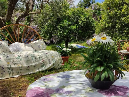 The House Of The Robin