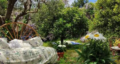 The House Of The Robin