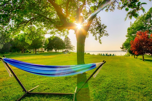 Hammock under the apple tree (1)