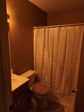 Hair dryer, towels, soap