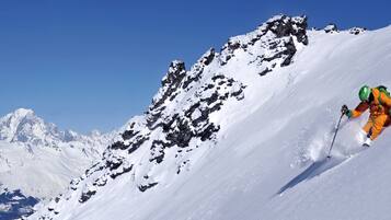 Sneeuw- en skisporten