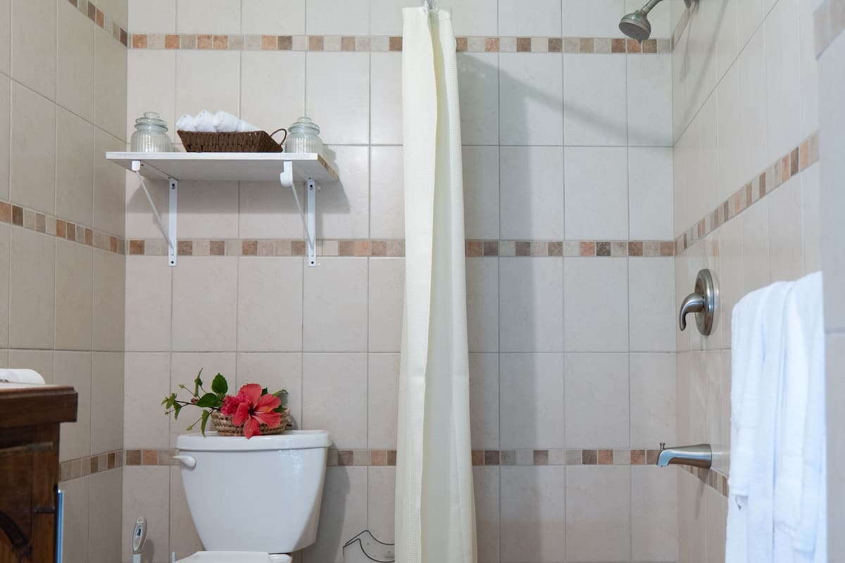 Comfort appartement, uitzicht op oceaan | 2 slaapkamers, luxe beddengoed, donzen dekbedden, een kluis op de kamer
