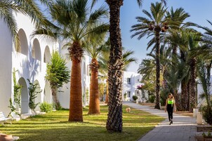 Un camino bordeado de palmeras y edificios blancos con arcos.