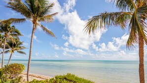 Une plage bordée de palmiers, sous un ciel bleu azur.