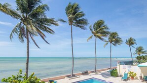 Un espace aménagé au bord de la piscine, agrémenté de palmiers, offrant une vue dégagée sur l’océan et sur lequel est installé un panneau indiquant la présence d’un sauveteur.