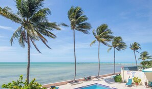 Pool - ~AZUR PALM~ Oceanfront elegance with pools, peace, and a designer interior! (Key West)