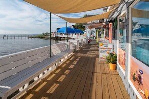 Property grounds - No Ducks Given  -  Duck NC Oceanfront (Duck)