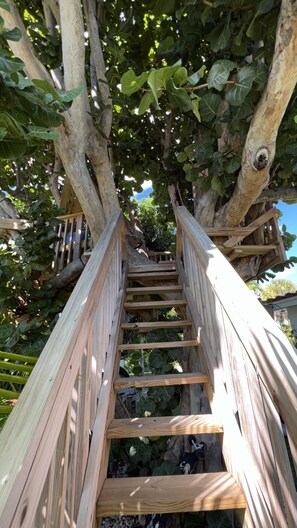 Property grounds - EAST of A1A WITH Private Beach Guest house, Heated Pool, AND 6 seater Golf Cart! (Pompano Beach)