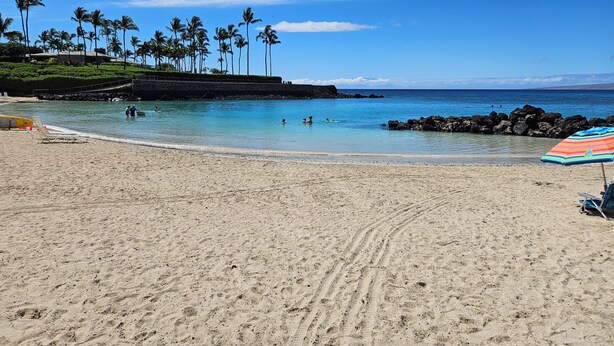 Una spiaggia sabbiosa con acque cristalline blu, palme e un litorale roccioso.