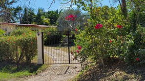 Enter a serene oasis surrounded by lush greenery and vibrant flowers.
