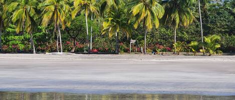 Nær stranden og strandhåndklær