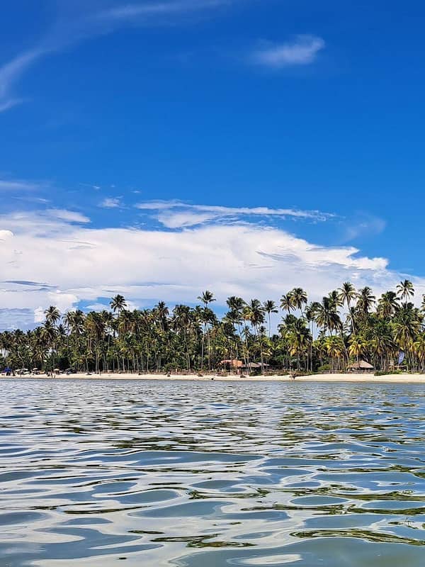 Na praia, areia branca, 20 bares na praia