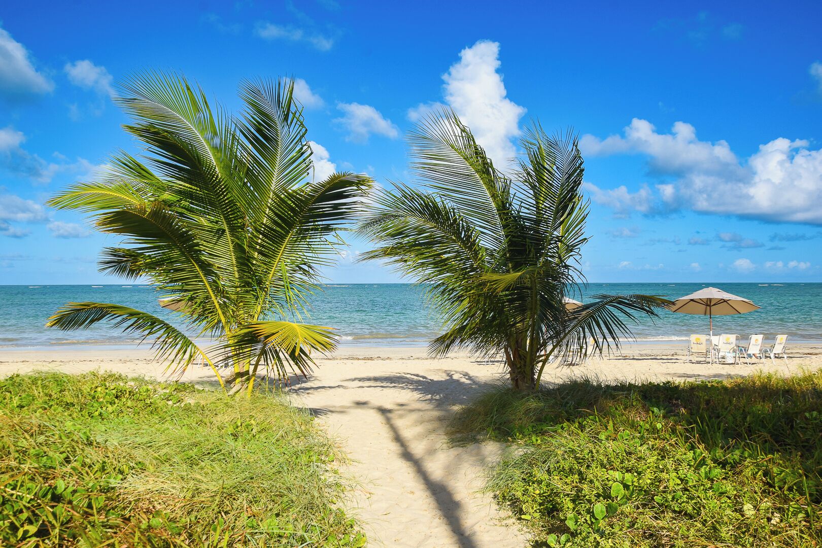 Plage, sable blanc, chaises longues, parasols