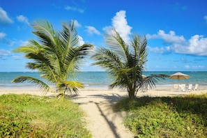 On the beach, white sand, sun-loungers, beach umbrellas