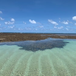 Na praia, areia branca, 20 bares na praia