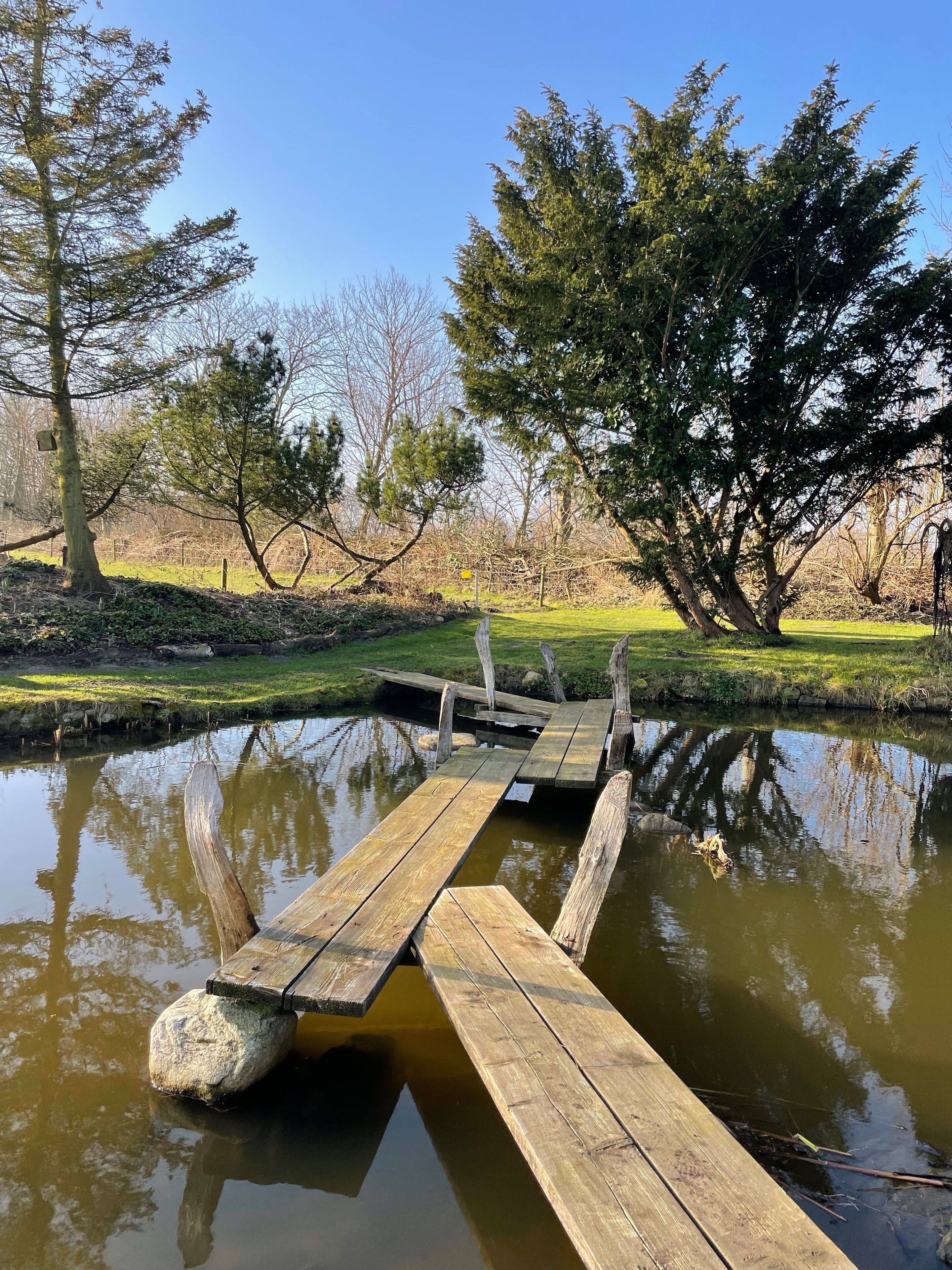 A wooden dock extending into a calm body of water, surrounded by trees and grassy areas.