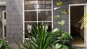 Un edificio moderno con un gran ventanal y una puerta, rodeado de diversas plantas.