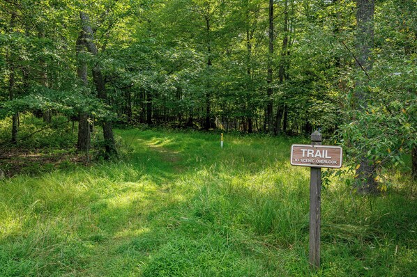 A trail sign in a wooded area.