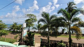A coastal view with palm trees, a signboard, and a paved walkway.