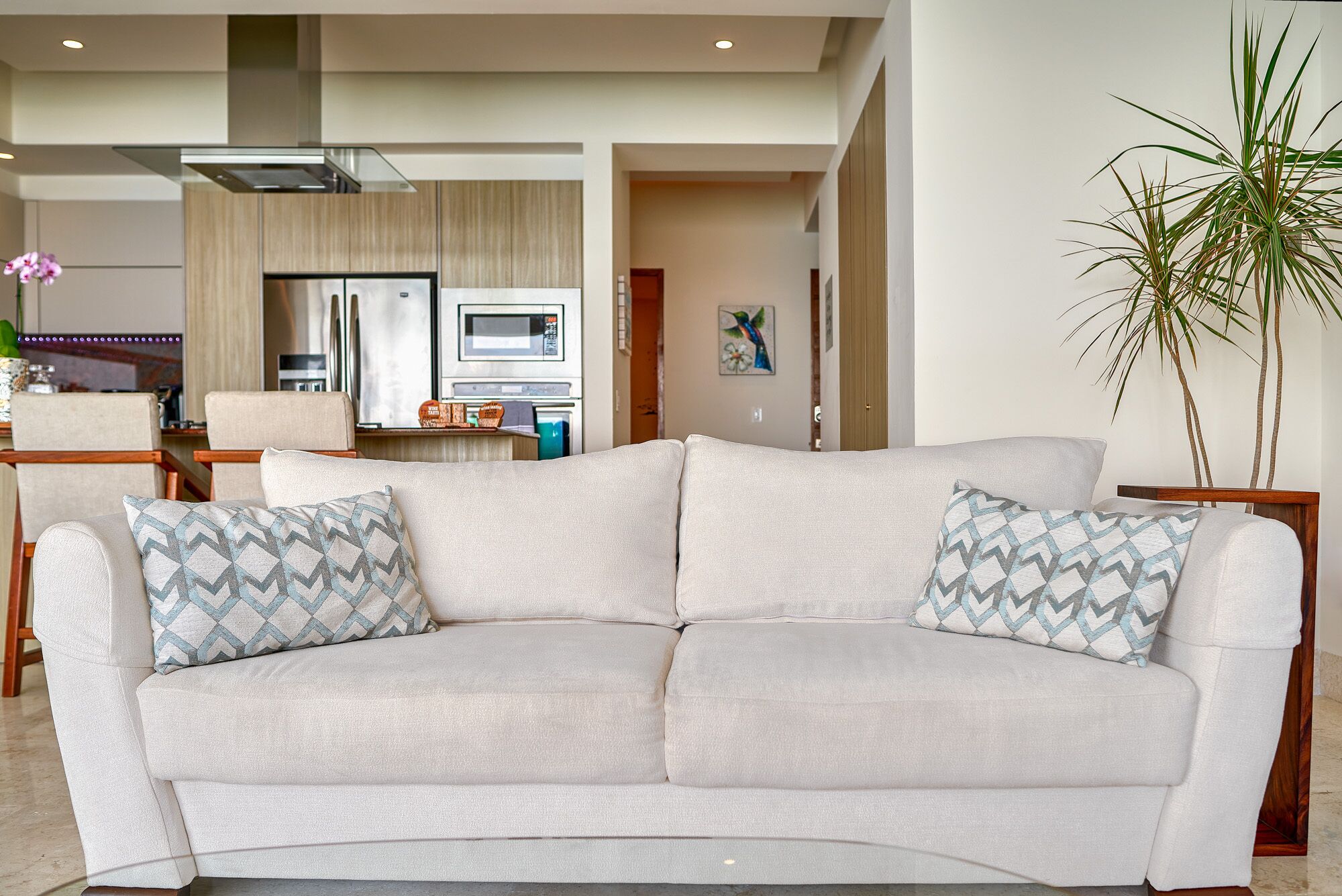 A living room with a sofa, two patterned pillows, a potted plant, and a dining area with chairs and a table.