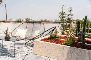 Une terrasse sur le toit, dotée d’un espace salon, de jardinières avec des cactus et offrant une vue dégagée sur le panorama urbain.