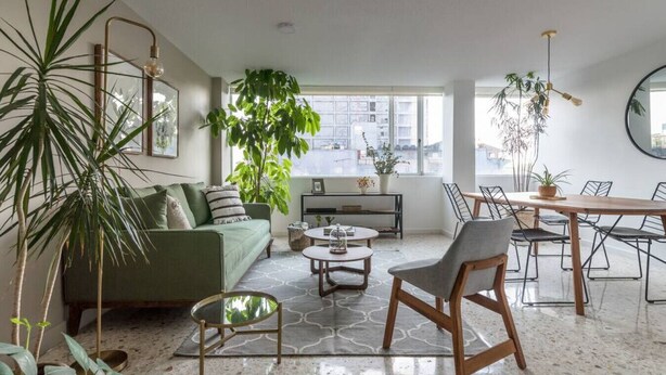A modern living room with a green sofa, a coffee table, and a dining area with chairs and a table. There are several plants and a large window providing natural light. - Darwin's Garden an amazing flat in Casa Quetzal (Ciudad de México)