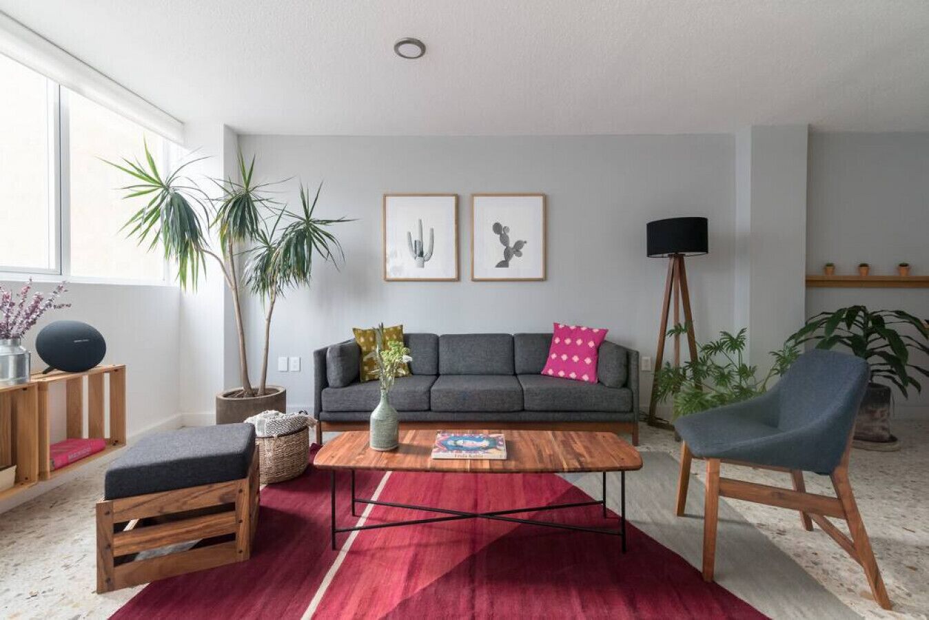 Ein modernes Wohnzimmer mit einem grauen Sofa, einem Holztisch, einem roten Teppich und zwei Stühlen. Zwei Blumentöpfe, eine Stehlampe und zwei gerahmte Bilder schmücken die Wand.