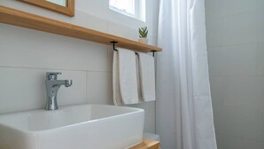 A bathroom with a white sink, a mirror, and a wooden shelf with a plant.