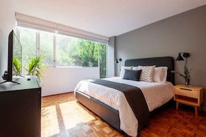 1 chambre, bureau, fer et planche Ă repasser, lit parapluie