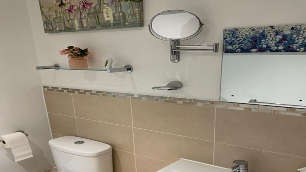 Un baño con inodoro, lavamanos y espejo. Hay un estante pequeño con una planta en maceta y un adorno sobre el espejo.