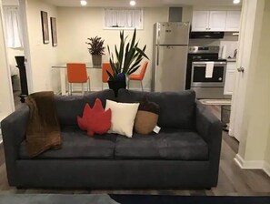 Smart TV, fireplace, streaming services