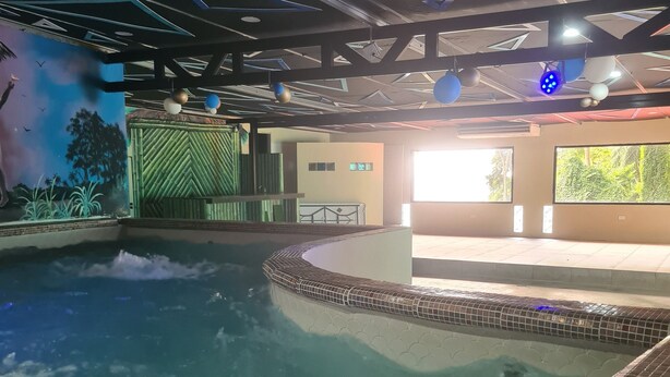 An indoor swimming pool with a tiled edge, a ceiling with geometric patterns, and a mural of a tropical scene. - Alicia's Palace (Port of Spain)
