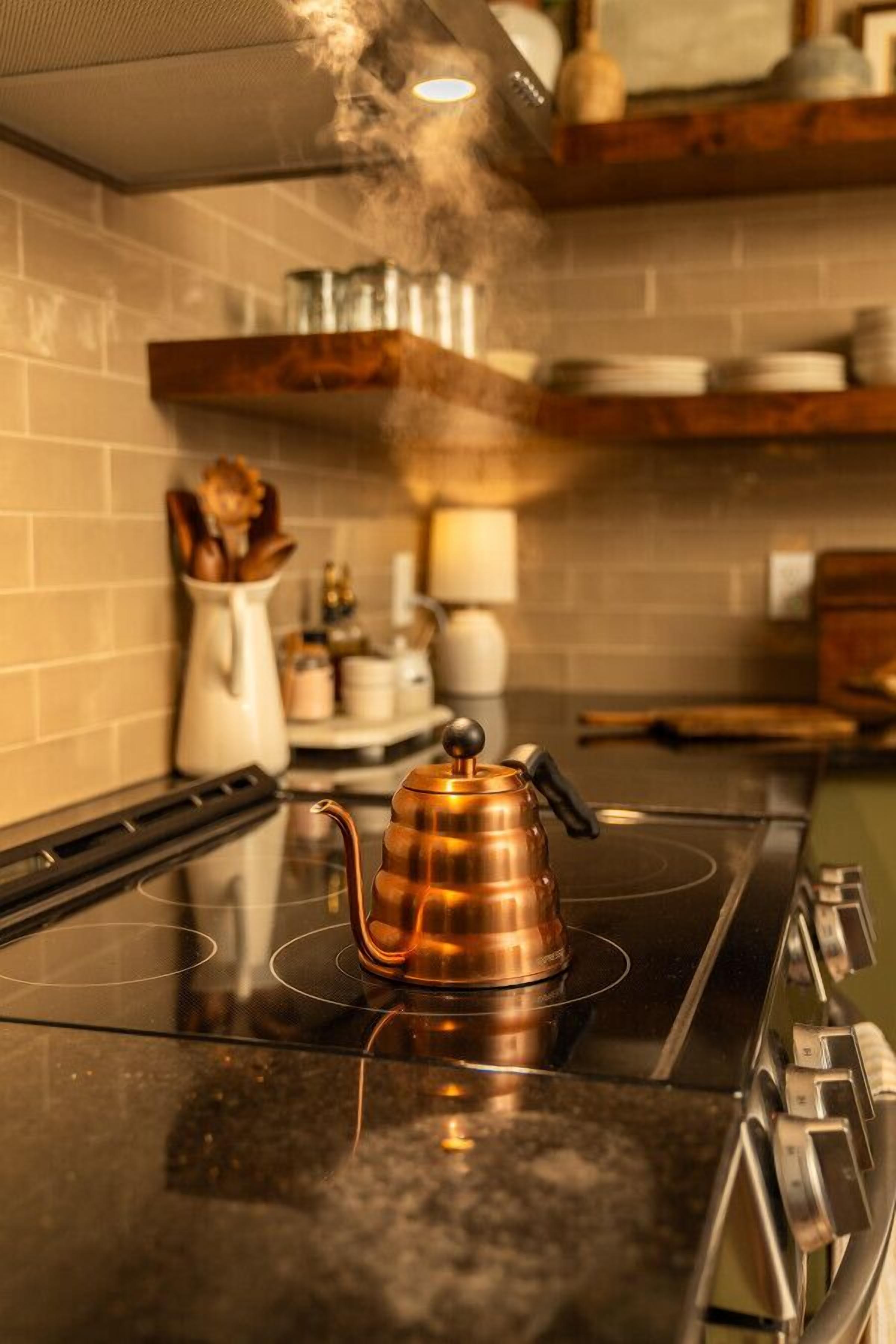 Full-sized fridge, microwave, oven, stovetop