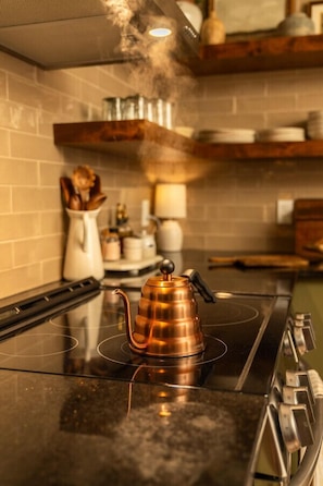 Full-sized fridge, microwave, oven, stovetop