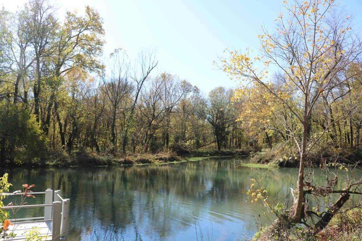 A calm river surrounded by trees with autumn foliage.