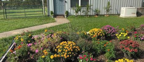 Overnatningsstedets område