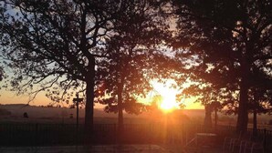 Pôr do sol sobre um parque com árvores e um espaço pavimentado.