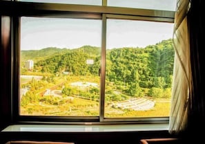 Vistas desde el alojamiento