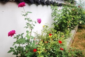 A garden with various plants and flowers, including pink and red roses, against a white wall with a decorative black tile roof. - Tianshe Hostel (Zhangjiajie)