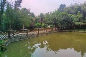 Interior - Southern Sichuan Bamboo Sea Qingyuan Homestay (Changning)