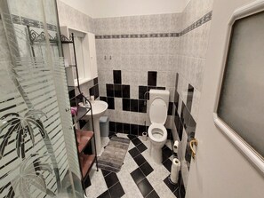 Ducha, secador de pelo y toallas