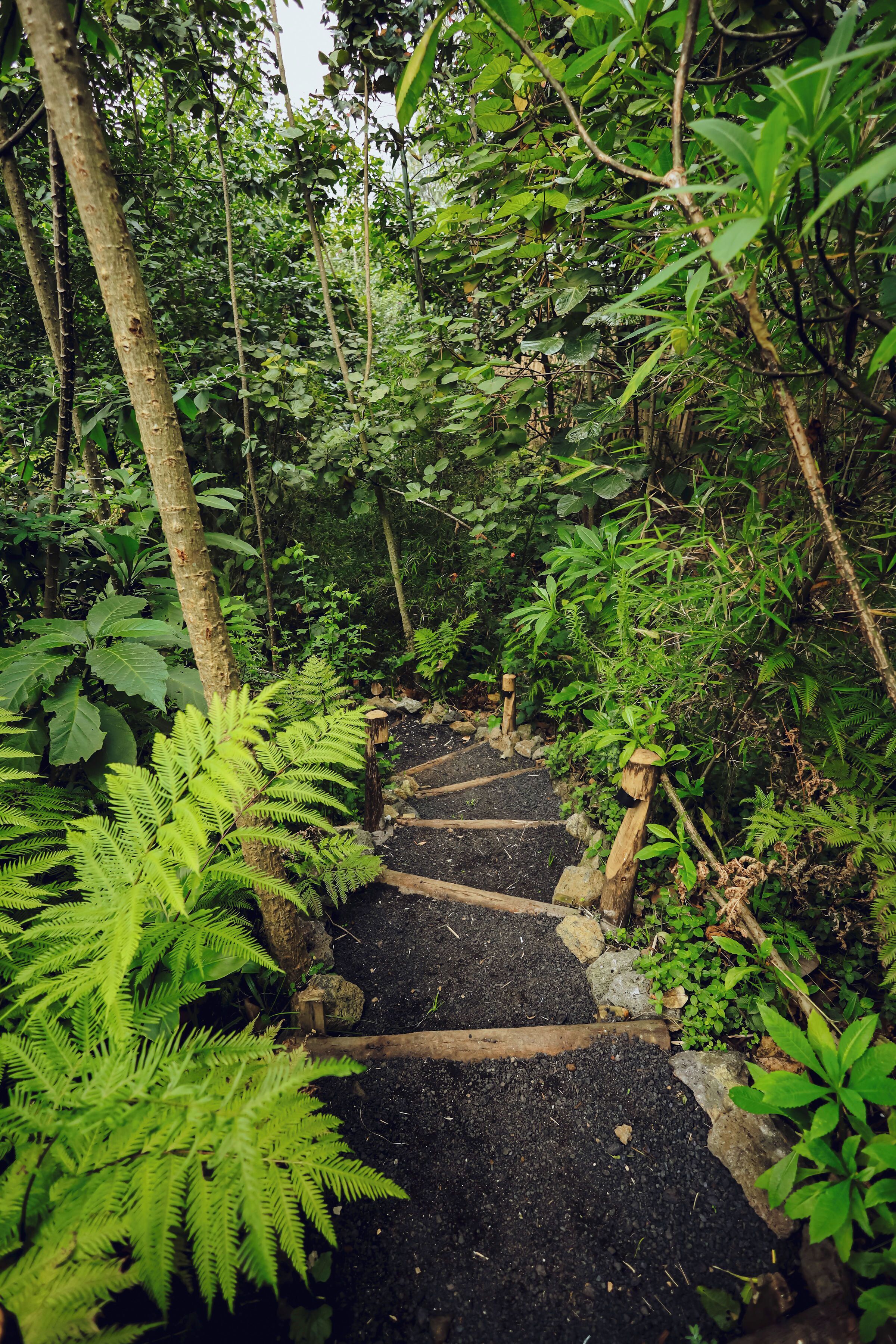 핫스톤 마사지, 딥티슈 마사지, 스웨덴식 마사지, 1 개의 트리트먼트룸, 마사지 서비스