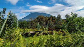 View from property - Sambora Kinigi (Kinigi)