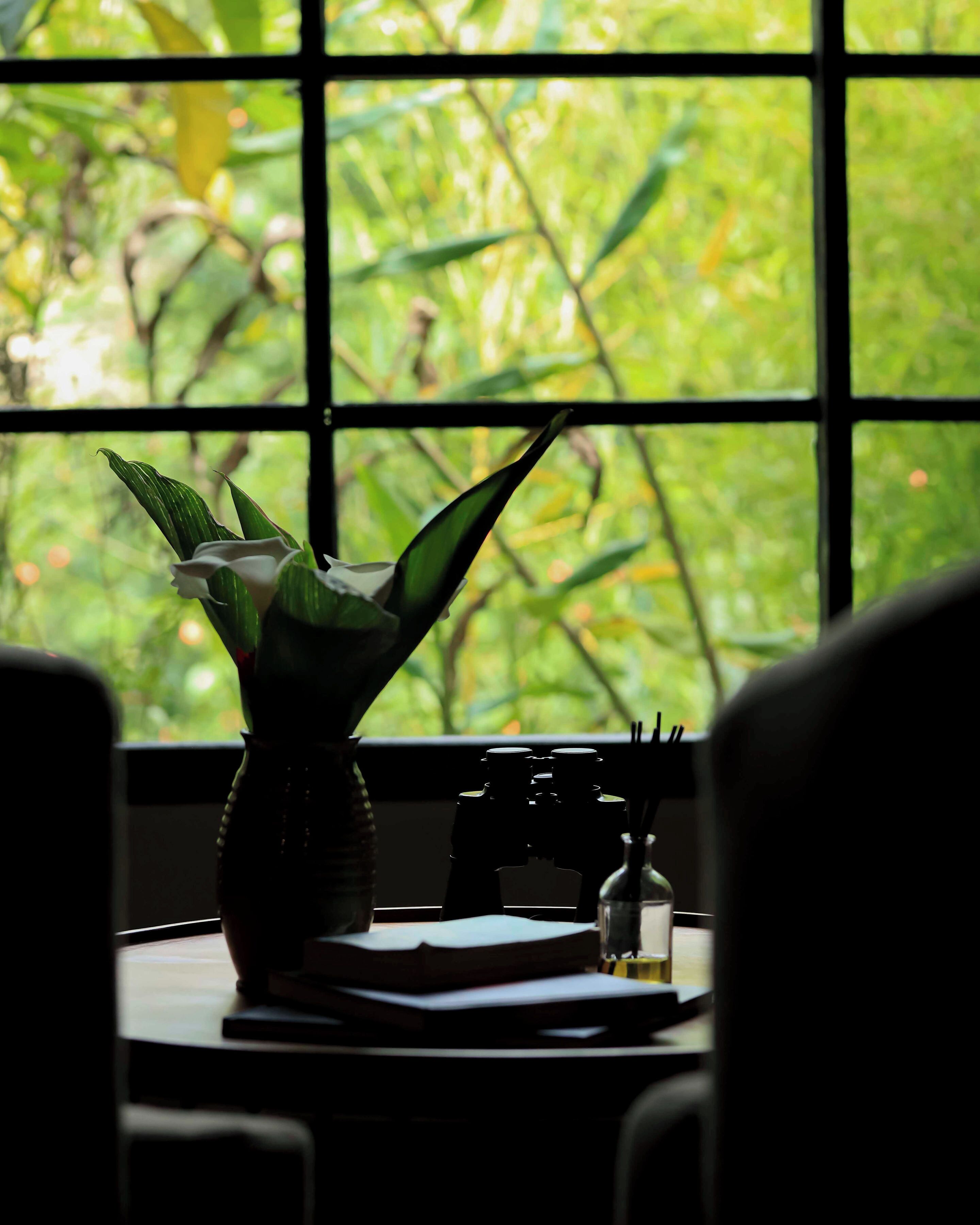Una ventana con vista a la vegetación, un florero con una planta y algunas botellas sobre una mesa.