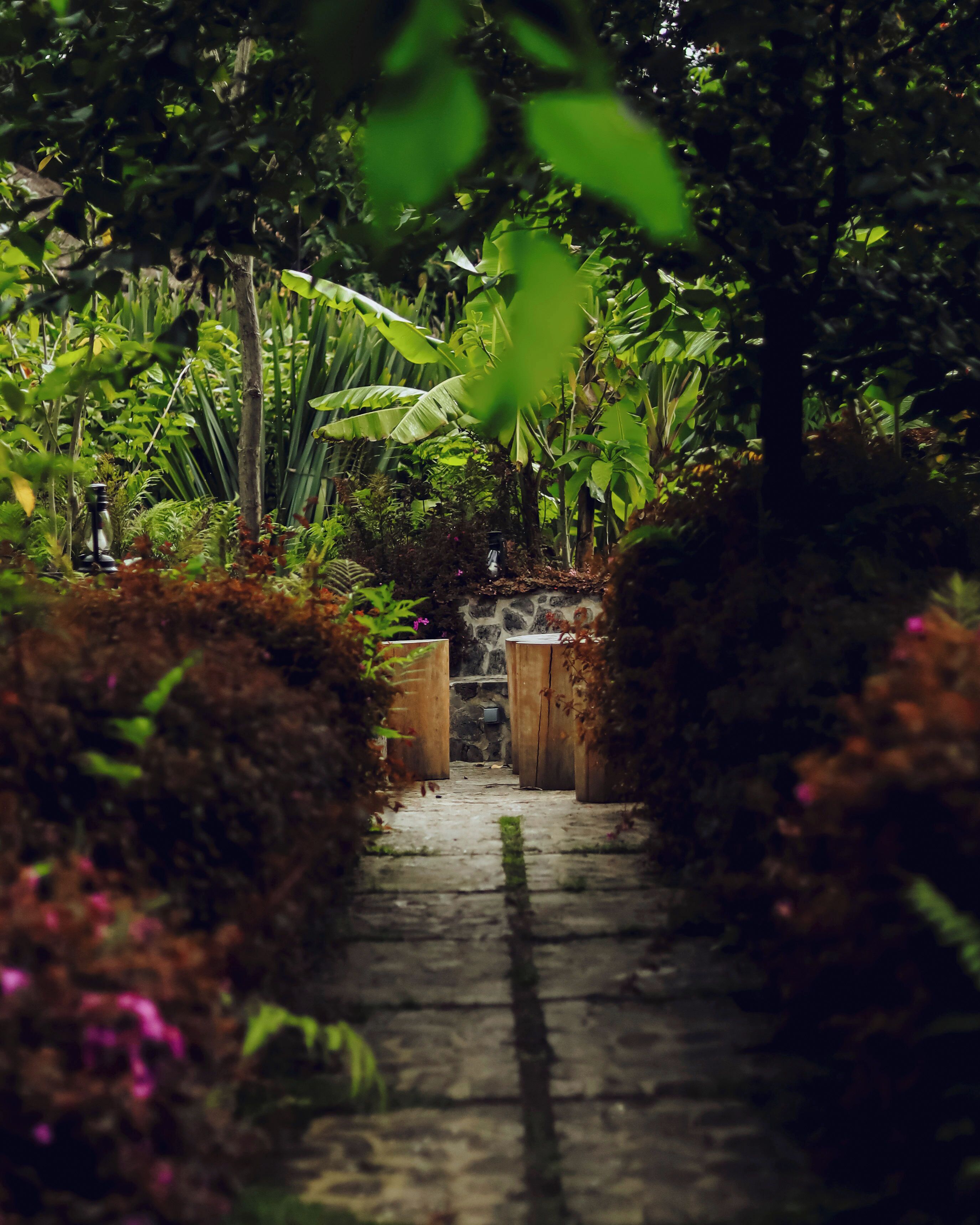 A narrow stone pathway leading through a lush garden with dense foliage and a stone wall in the background.
