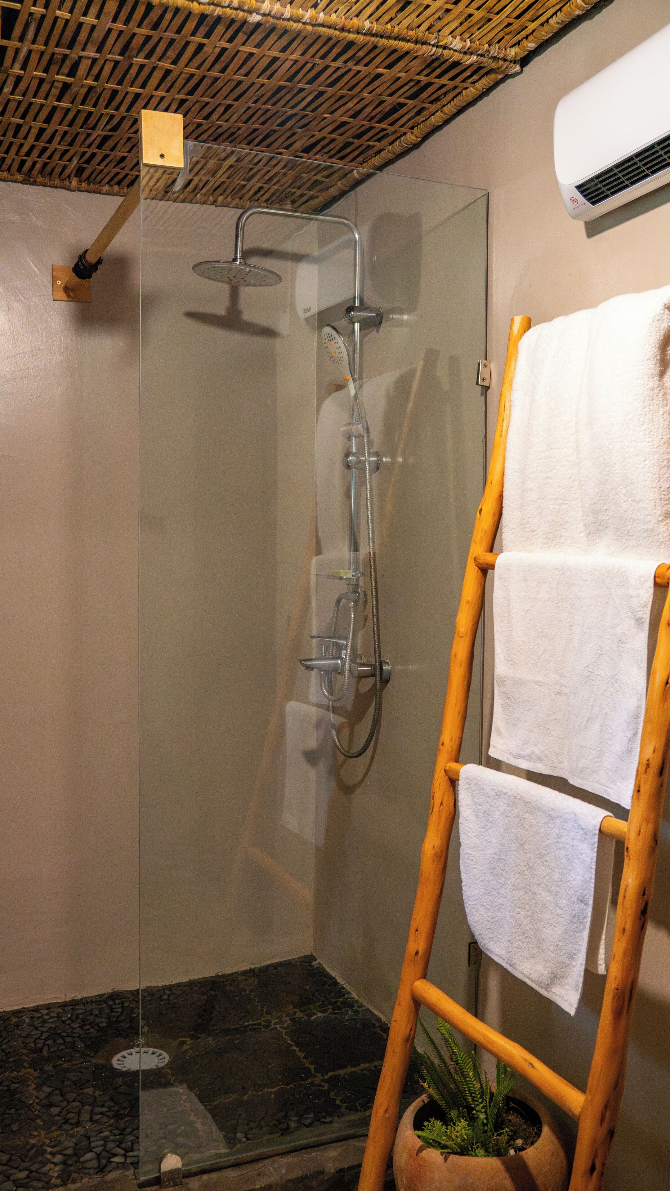 A glass-enclosed shower with a wooden ladder and a potted plant.